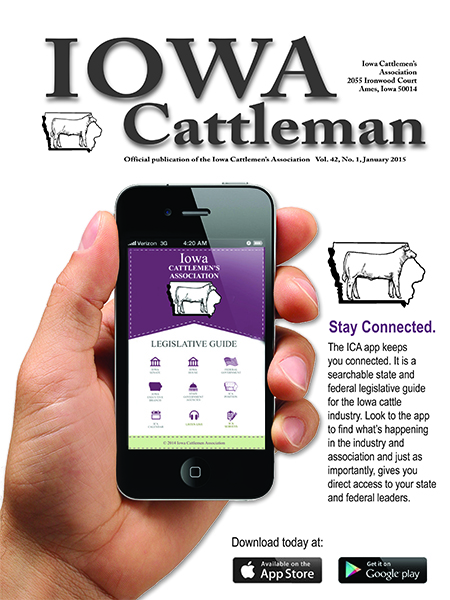 Digital Magazine