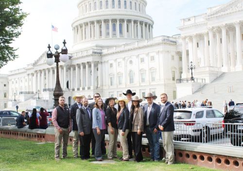 ICLP in D.C.