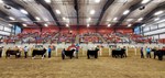 2020 Governor's Charity Steer Show